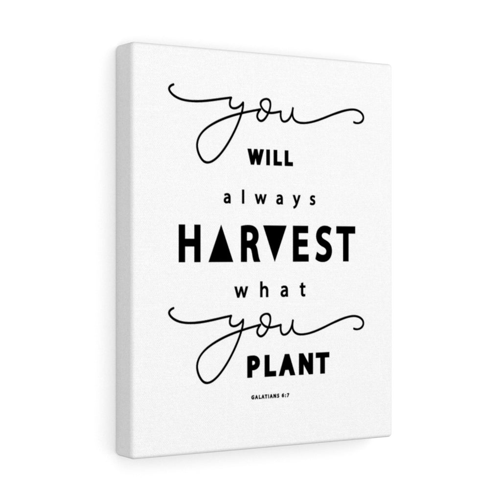 Scripture Walls Always Harvest What You Plant Galatians 6:7 Bible Verse Canvas Christian Wall Art Ready to Hang Unframed-Express Your Love Gifts