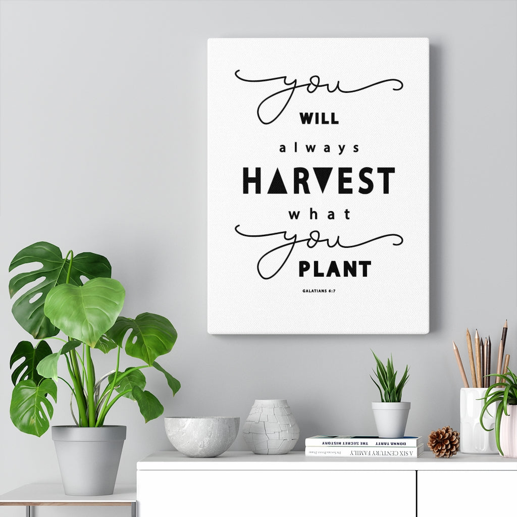 Scripture Walls Always Harvest What You Plant Galatians 6:7 Bible Verse Canvas Christian Wall Art Ready to Hang Unframed-Express Your Love Gifts
