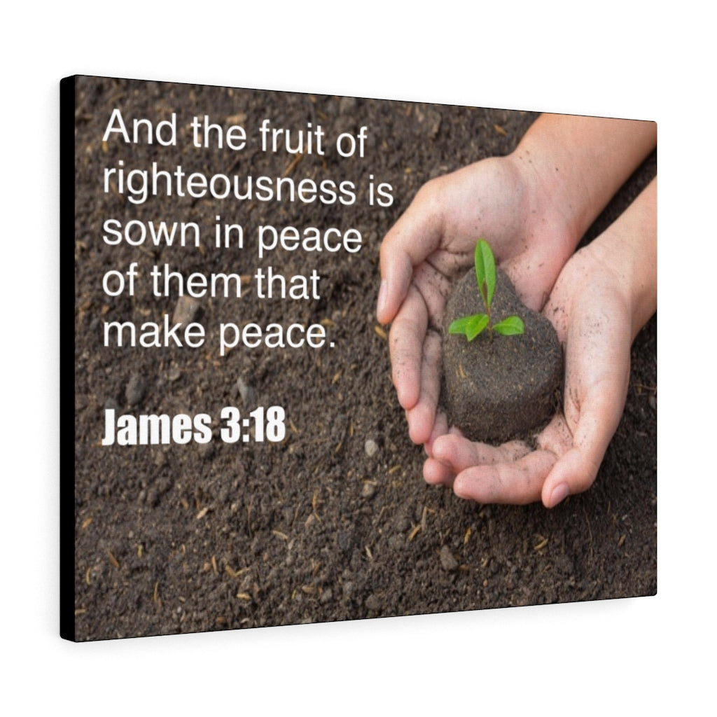 Scripture Walls And The Fruit of Righteousness James 3:18 Bible Verse Canvas Christian Wall Art Ready to Hang Unframed-Express Your Love Gifts