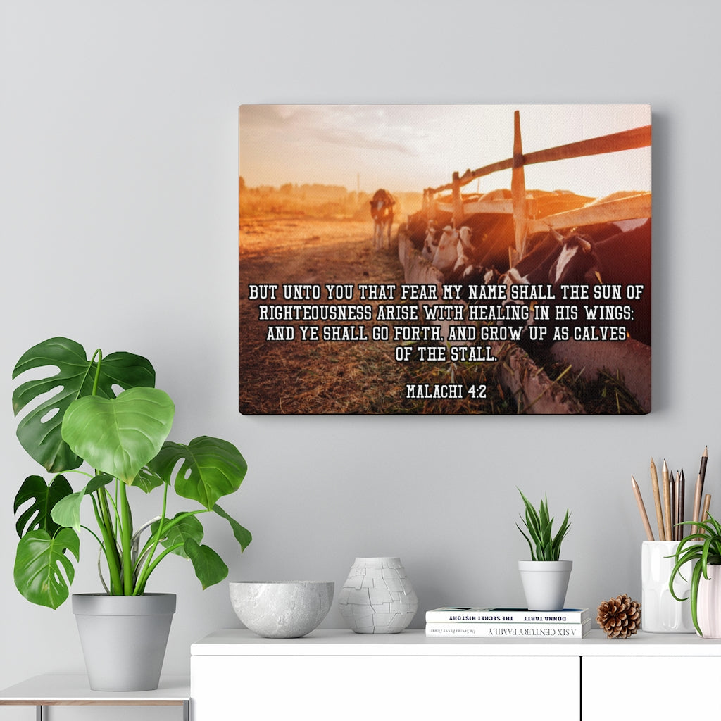 Scripture Walls And Ye Shall Go Forth Malachi 4:2 Bible Verse Canvas Christian Wall Art Ready to Hang Unframed-Express Your Love Gifts