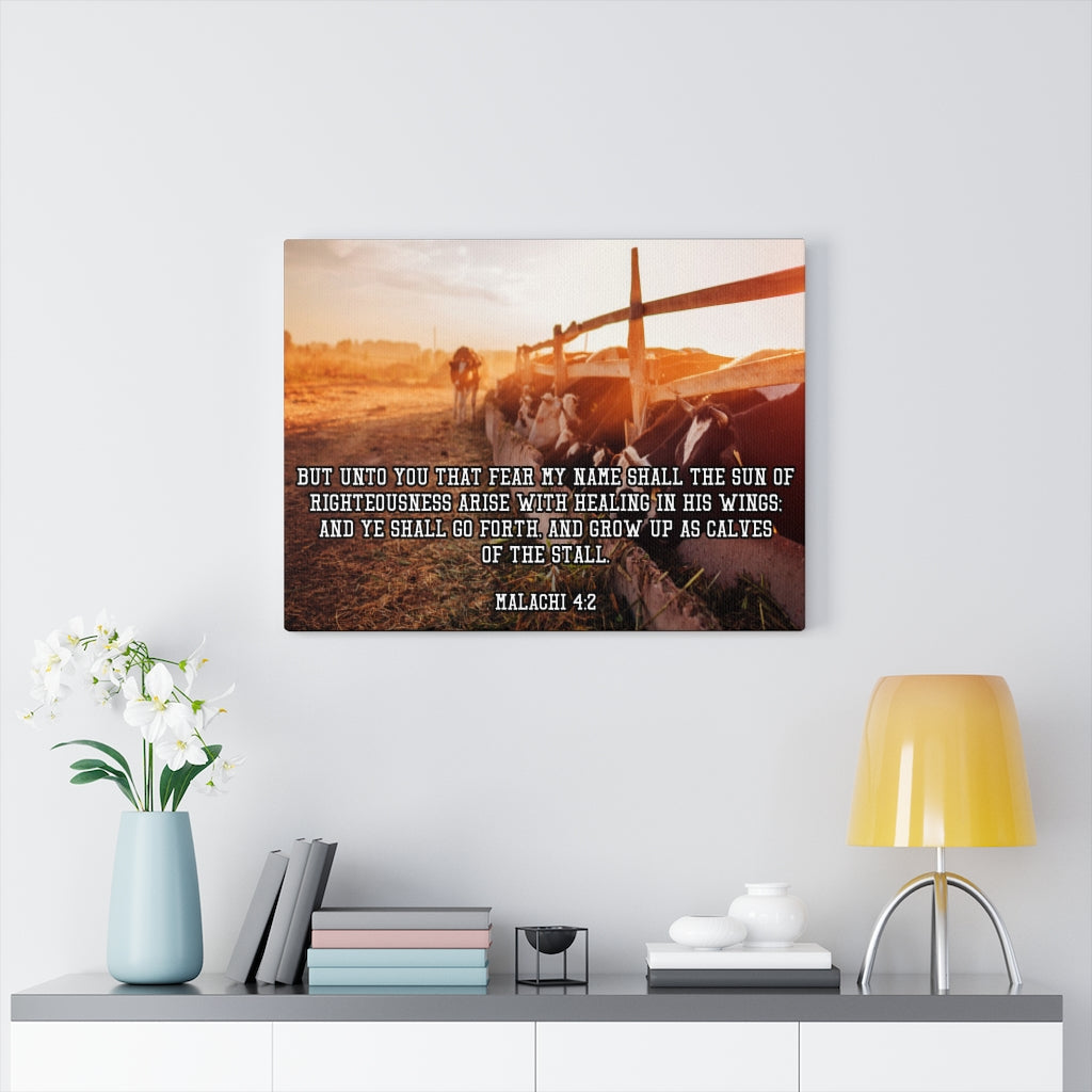 Scripture Walls And Ye Shall Go Forth Malachi 4:2 Bible Verse Canvas Christian Wall Art Ready to Hang Unframed-Express Your Love Gifts