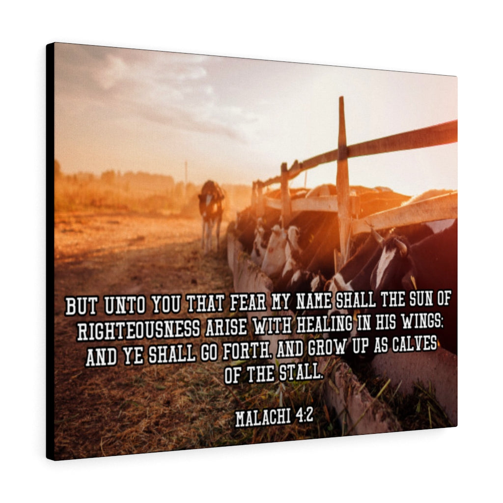 Scripture Walls And Ye Shall Go Forth Malachi 4:2 Bible Verse Canvas Christian Wall Art Ready to Hang Unframed-Express Your Love Gifts