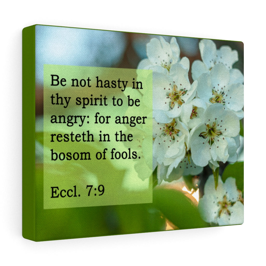 Scripture Walls Be Not Hasty Ecclesiastes 7:9 Bible Verse Canvas Christian Wall Art Ready to Hang Unframed-Express Your Love Gifts