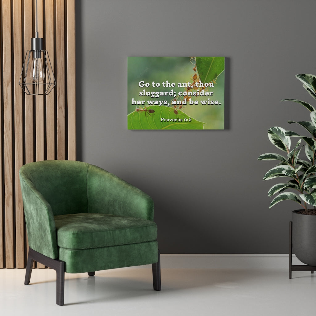 Scripture Walls Be Wise Proverbs 6:6 Bible Verse Canvas Christian Wall Art Ready to Hang Unframed-Express Your Love Gifts