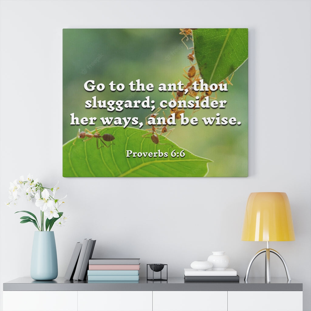 Scripture Walls Be Wise Proverbs 6:6 Bible Verse Canvas Christian Wall Art Ready to Hang Unframed-Express Your Love Gifts