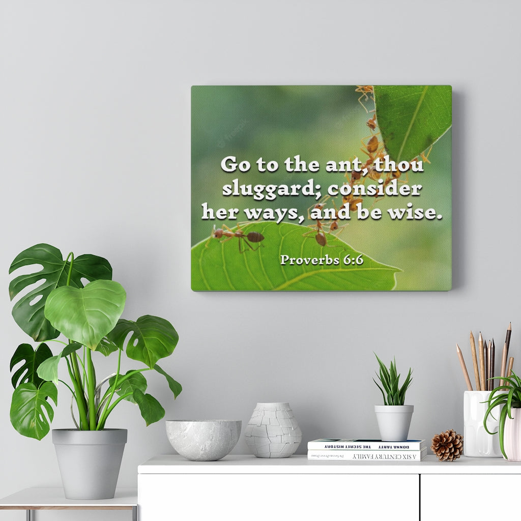 Scripture Walls Be Wise Proverbs 6:6 Bible Verse Canvas Christian Wall Art Ready to Hang Unframed-Express Your Love Gifts