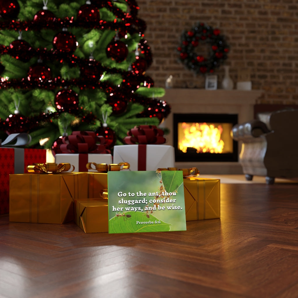 Scripture Walls Be Wise Proverbs 6:6 Bible Verse Canvas Christian Wall Art Ready to Hang Unframed-Express Your Love Gifts