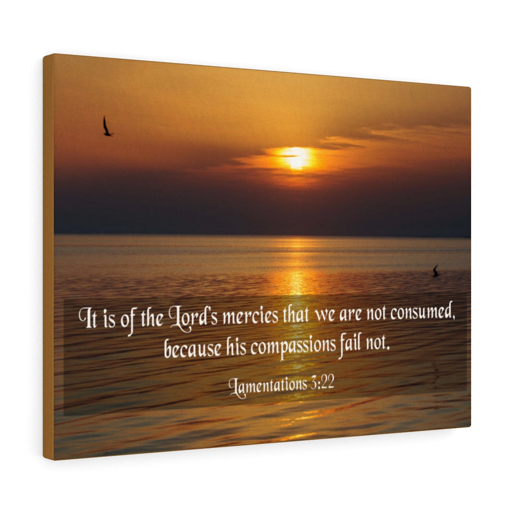 Scripture Walls Because His Compassions Lamentations 3:22 Bible Verse Canvas Christian Wall Art Ready to Hang Unframed-Express Your Love Gifts