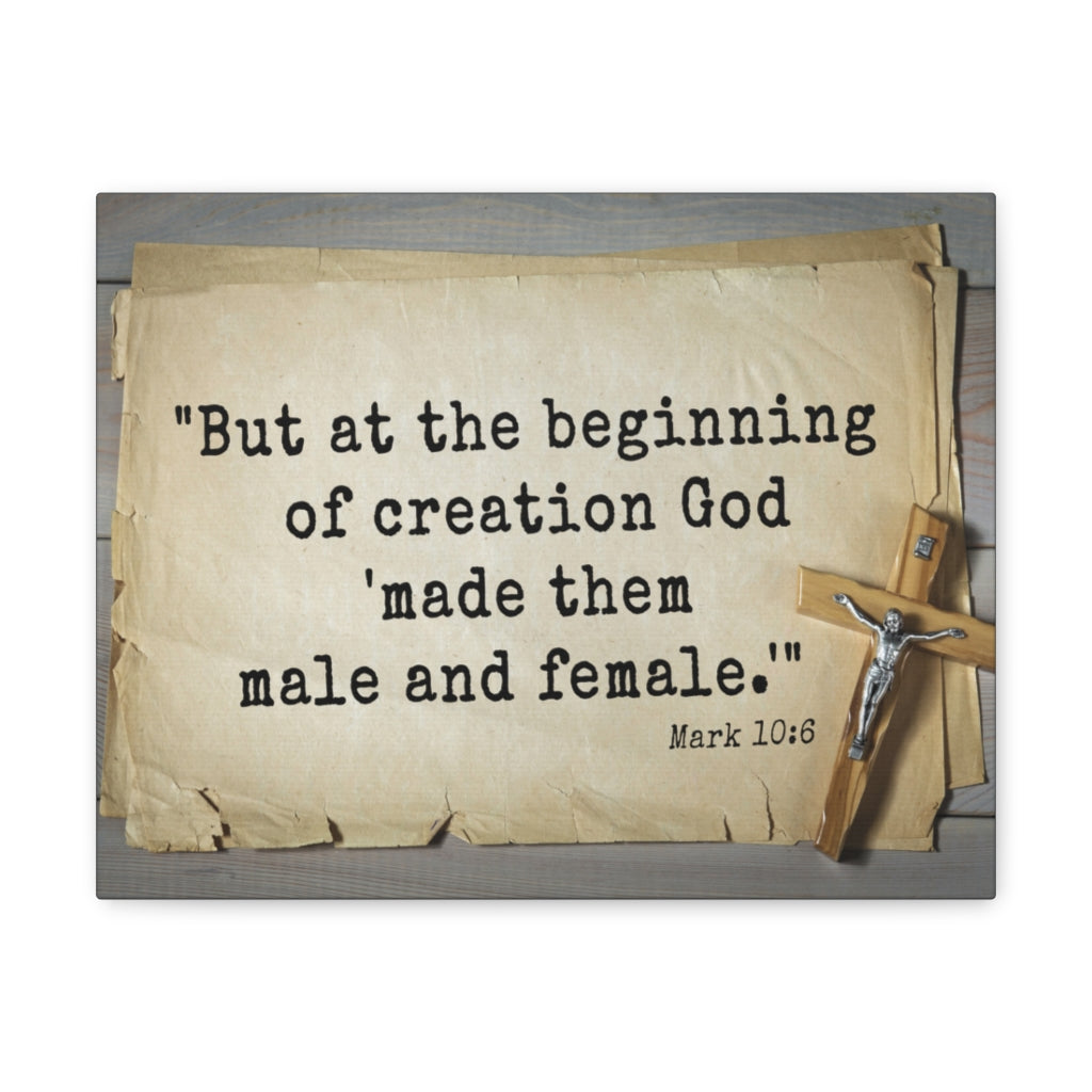 Scripture Walls Beginning Of Creation Mark 10:6 Bible Verse Canvas Christian Wall Art Ready to Hang Unframed-Express Your Love Gifts