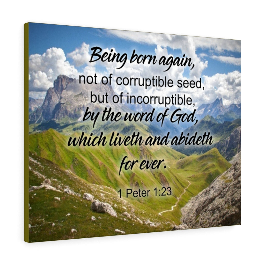 Scripture Walls Being Born Again 1 Peter 1:23 Bible Verse Canvas Christian Wall Art Ready to Hang Unframed-Express Your Love Gifts
