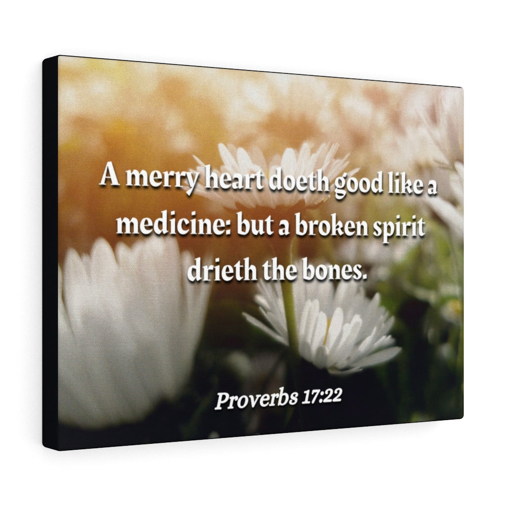 Scripture Walls Broken Spirit Proverbs 17:22 Bible Verse Canvas Christian Wall Art Ready to Hang Unframed-Express Your Love Gifts