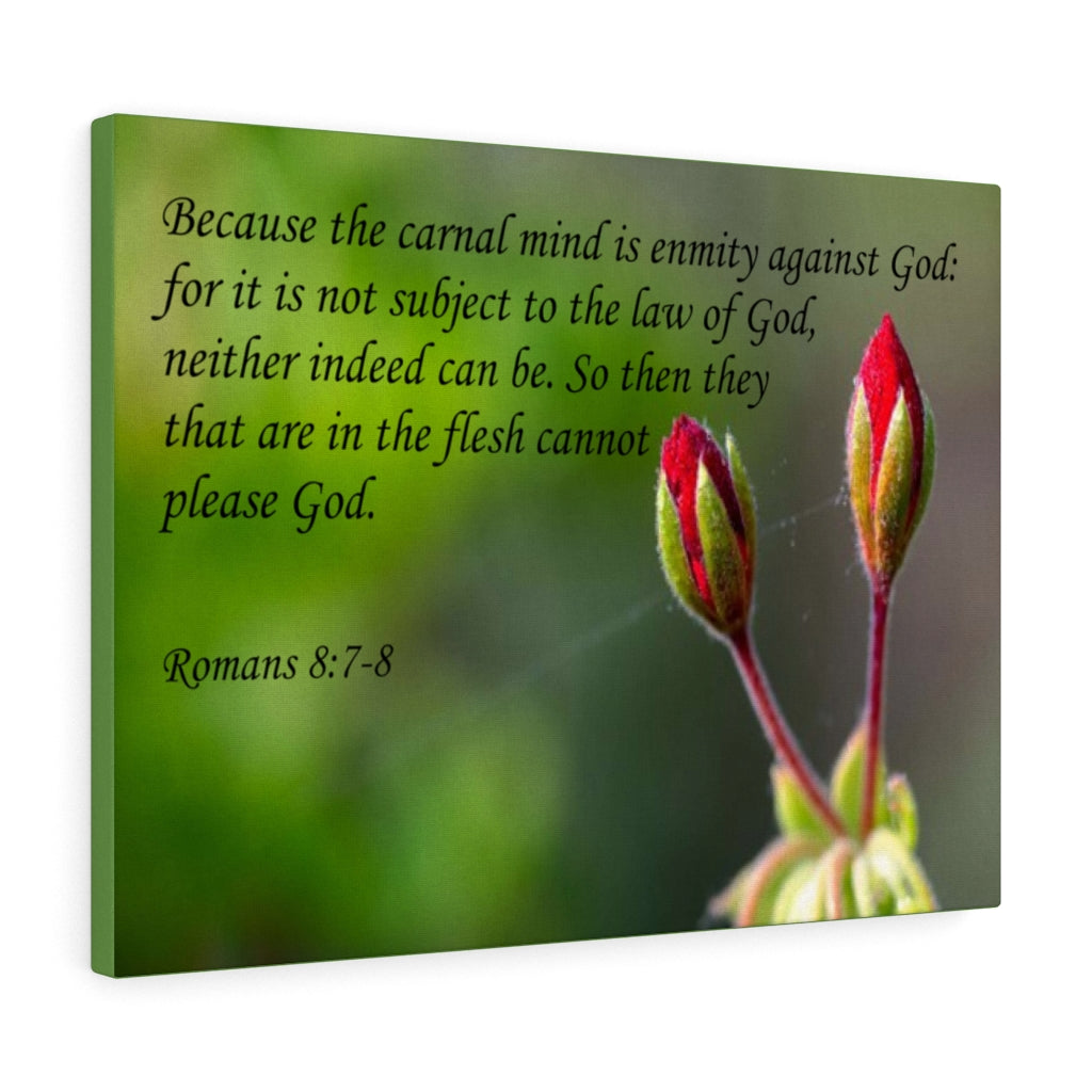 Scripture Walls Carnal Mind Romans 8:7-8 Bible Verse Canvas Christian Wall Art Ready to Hang Unframed-Express Your Love Gifts