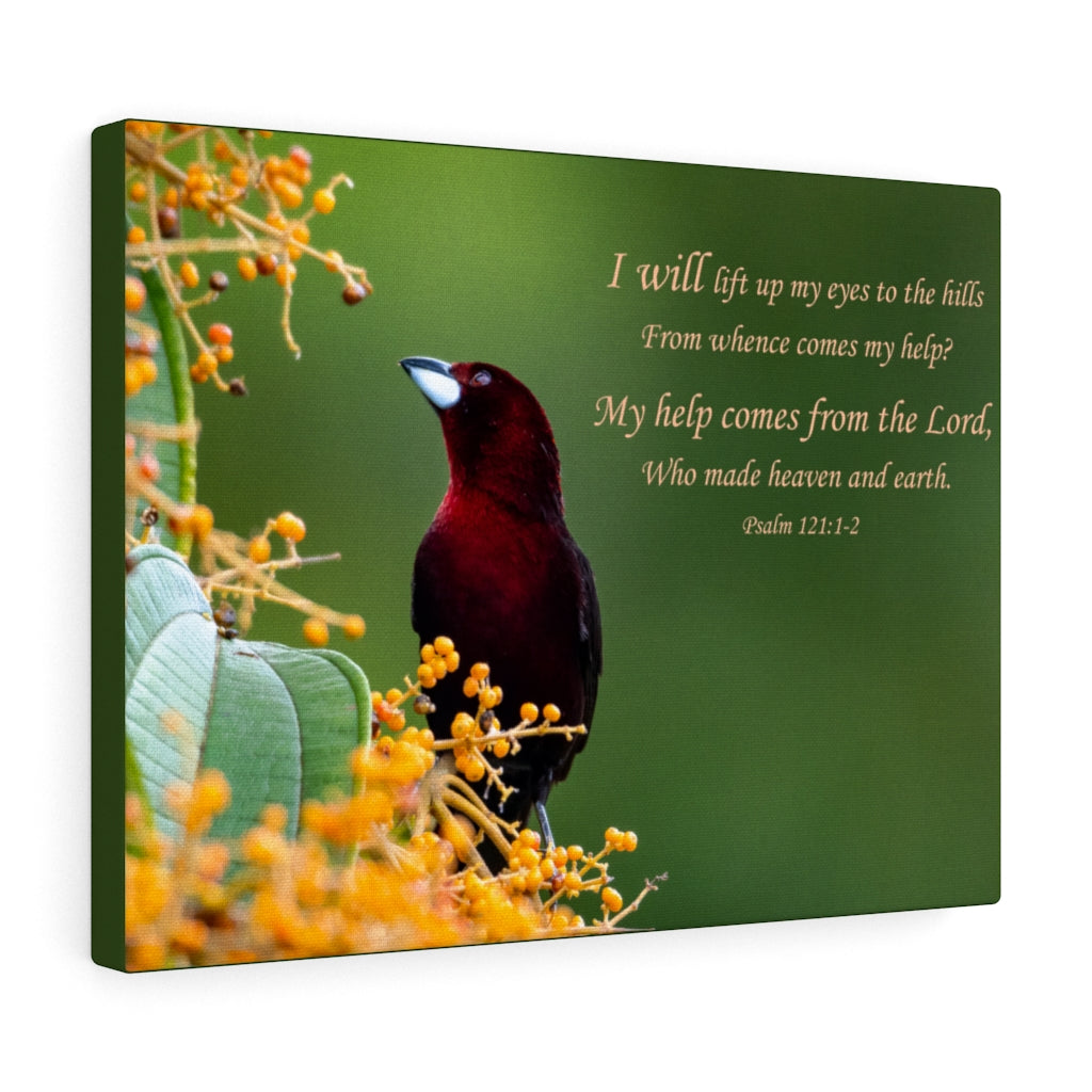 Scripture Walls Comes From The Lord Psalm 121:1-2 Bible Verse Canvas Christian Wall Art Ready to Hang Unframed-Express Your Love Gifts