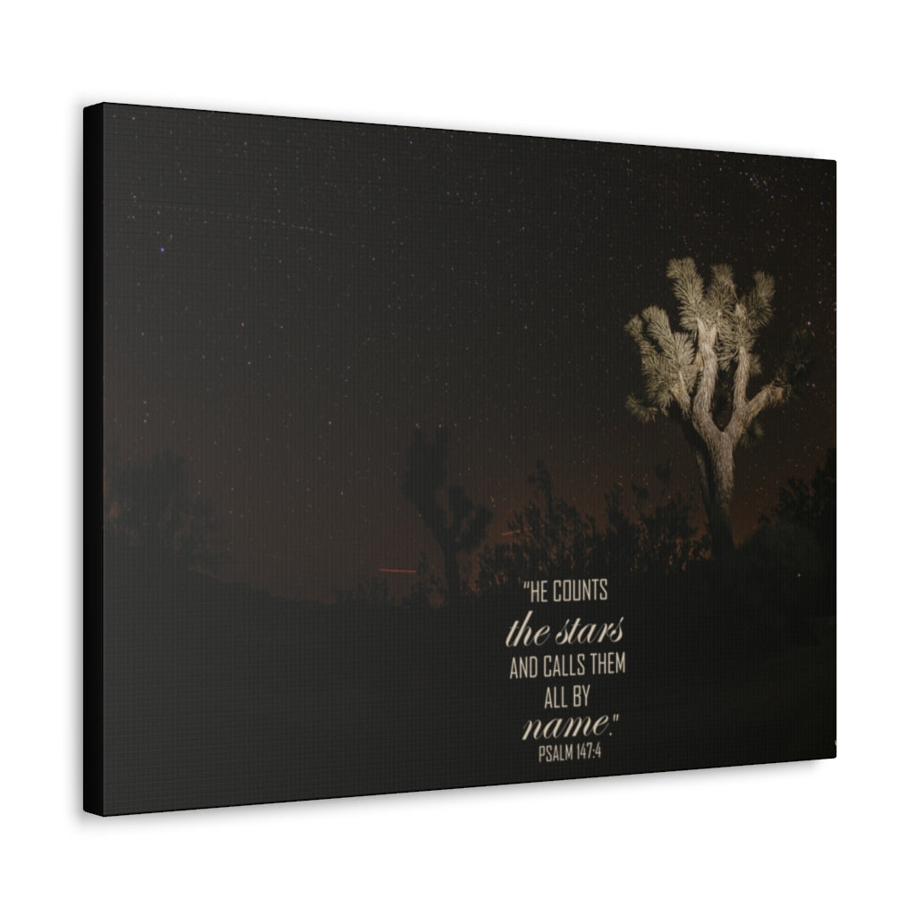 Scripture Walls Counts The Stars Psalm 147:4 Bible Verse Canvas Christian Wall Art Ready to Hang Unframed-Express Your Love Gifts