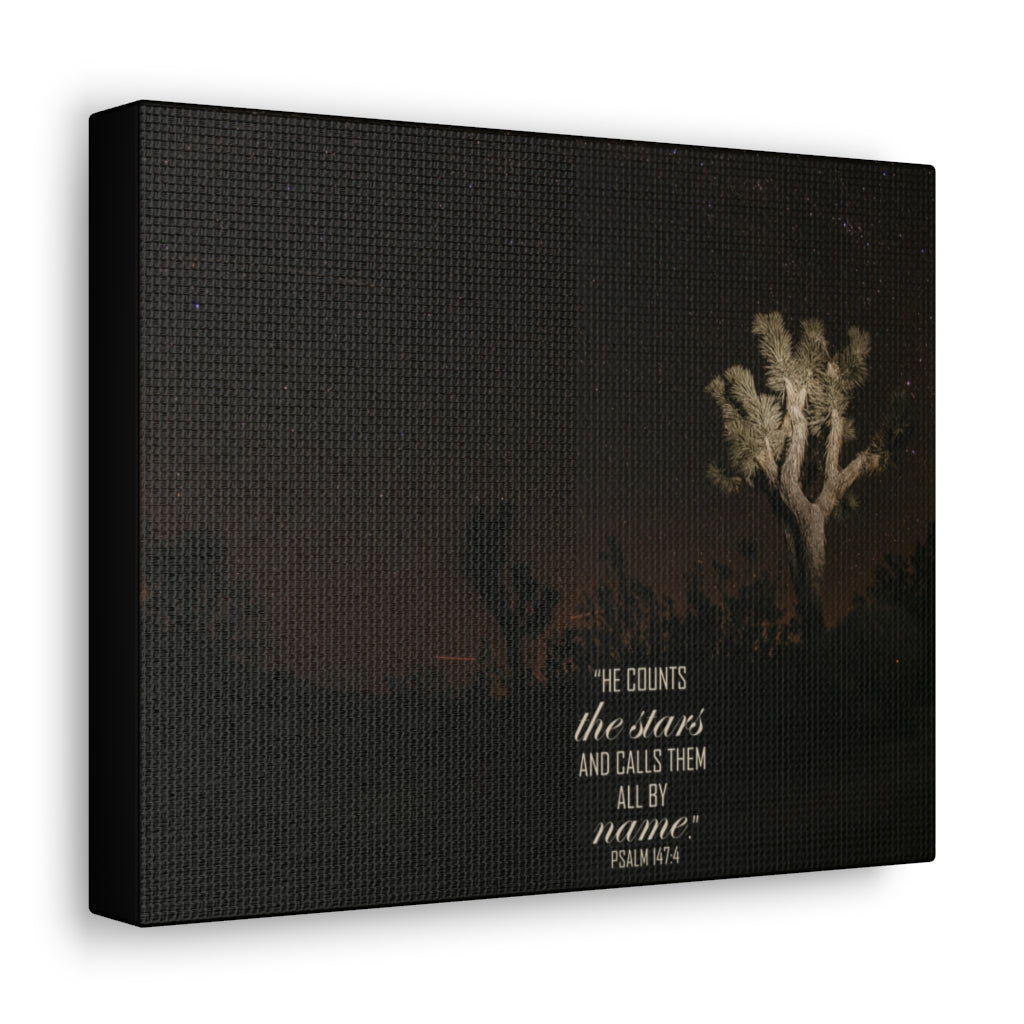 Scripture Walls Counts The Stars Psalm 147:4 Bible Verse Canvas Christian Wall Art Ready to Hang Unframed-Express Your Love Gifts