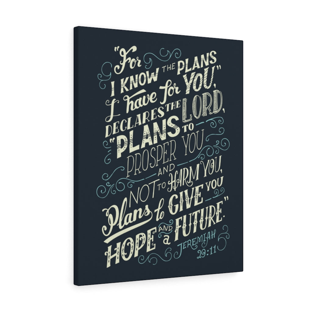 Scripture Walls Declares The Lord Jeremiah 29:11 Dark Bible Verse Canvas Christian Wall Art Ready to Hang Unframed-Express Your Love Gifts