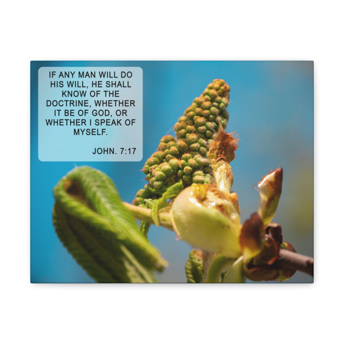 Scripture Walls Do His Will John 7:17 Bible Verse Canvas Christian Wall Art Ready to Hang Unframed-Express Your Love Gifts