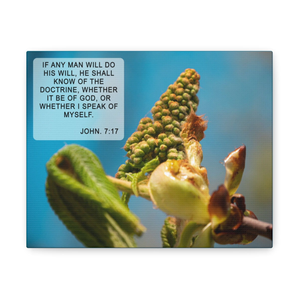 Scripture Walls Do His Will John 7:17 Bible Verse Canvas Christian Wall Art Ready to Hang Unframed-Express Your Love Gifts