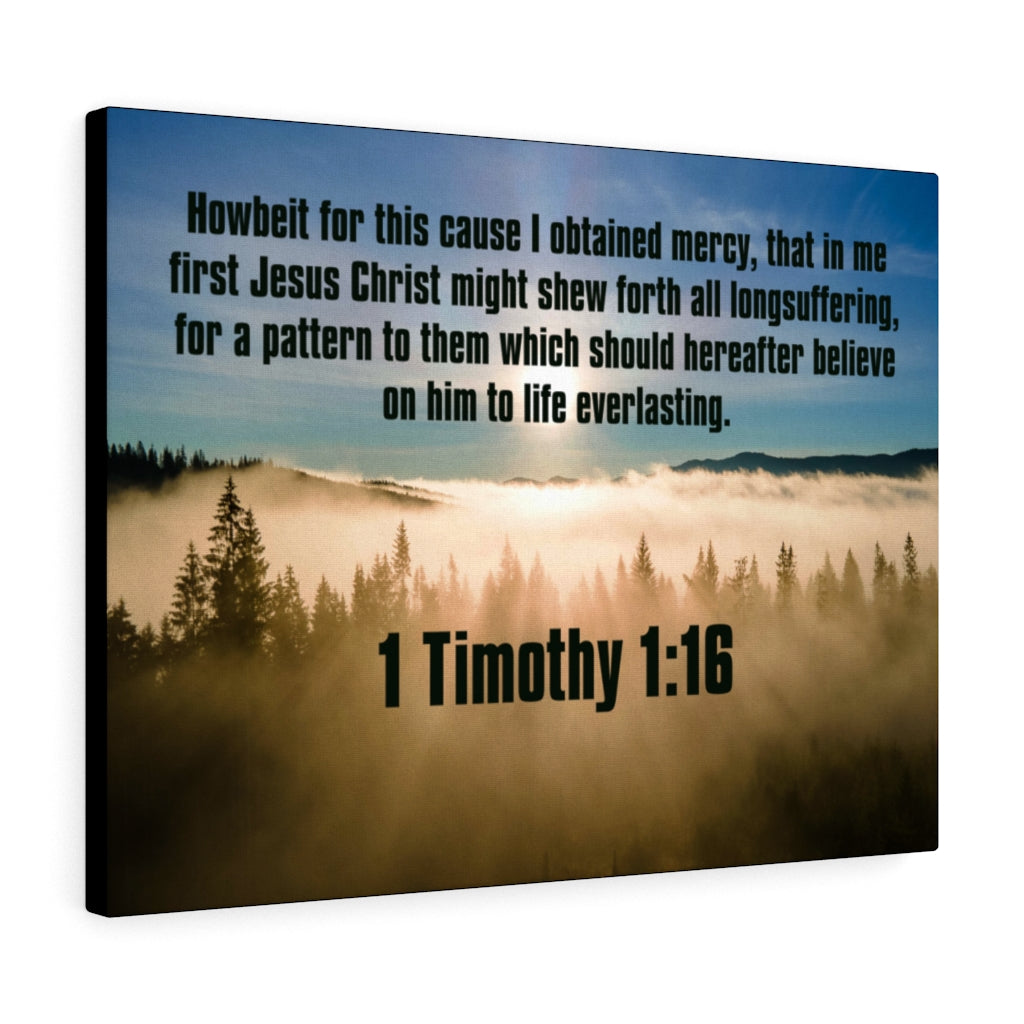 Scripture Walls Everalsting Life 1 Timothy 1:16 Christian Home Decor Bible Art Unframed-Express Your Love Gifts