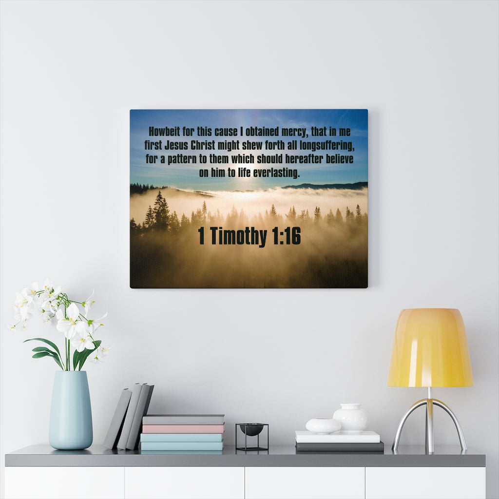 Scripture Walls Everalsting Life 1 Timothy 1:16 Christian Home Decor Bible Art Unframed-Express Your Love Gifts