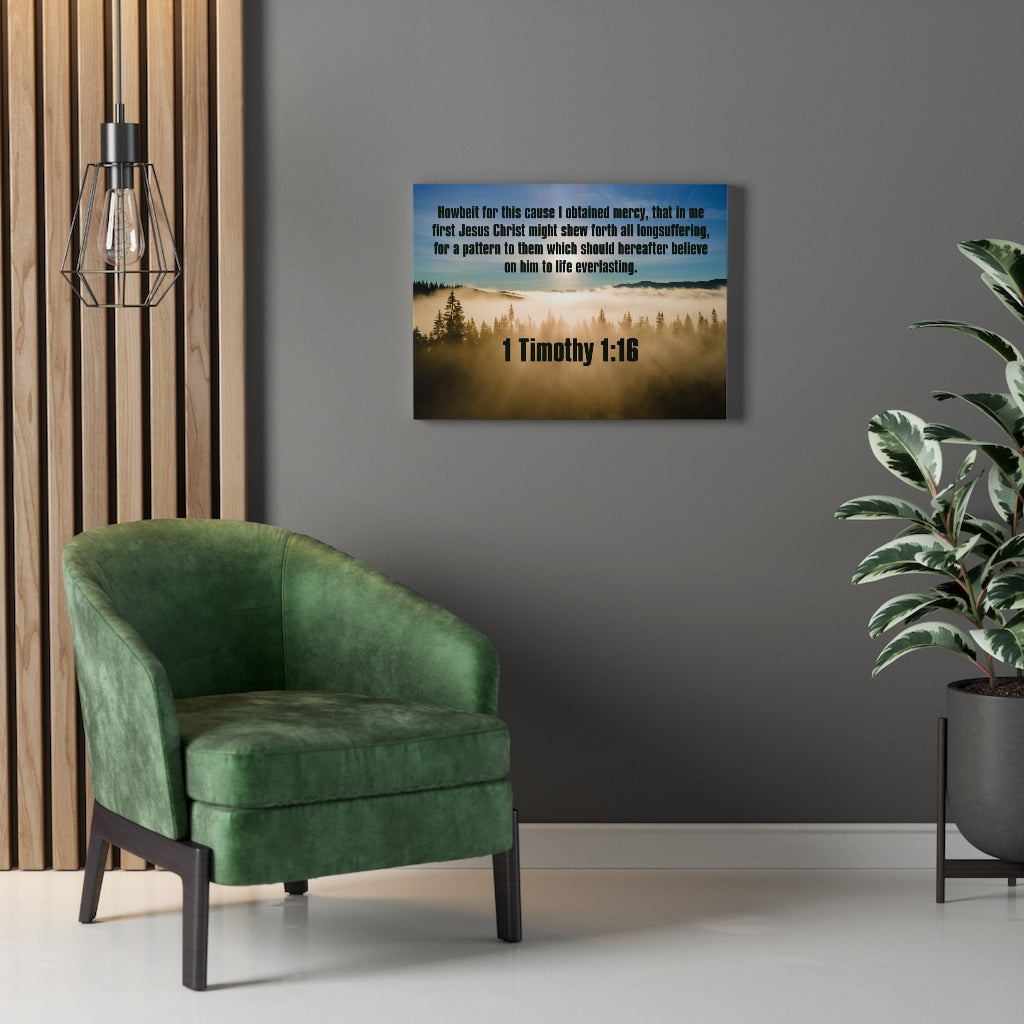 Scripture Walls Everalsting Life 1 Timothy 1:16 Christian Home Decor Bible Art Unframed-Express Your Love Gifts