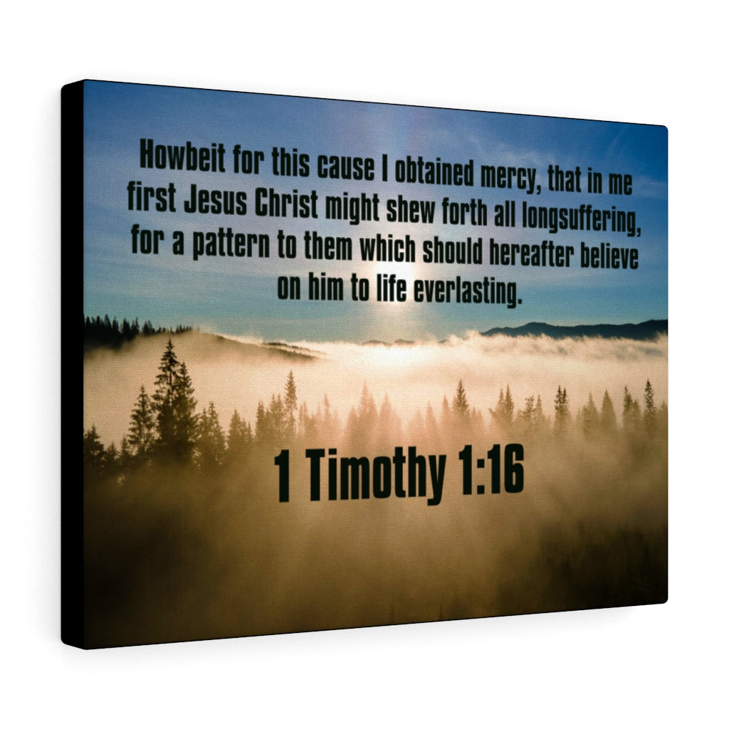 Scripture Walls Everalsting Life 1 Timothy 1:16 Christian Home Decor Bible Art Unframed-Express Your Love Gifts
