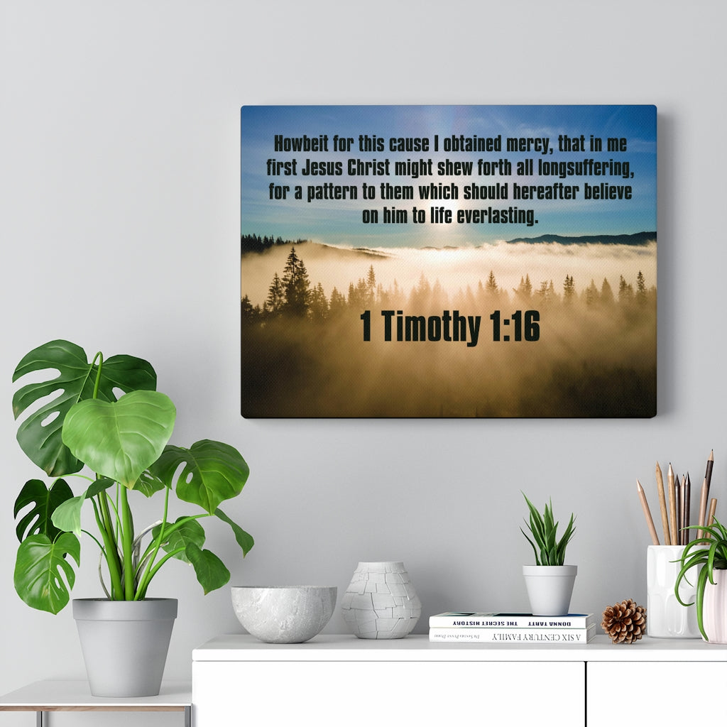 Scripture Walls Everalsting Life 1 Timothy 1:16 Christian Home Decor Bible Art Unframed-Express Your Love Gifts