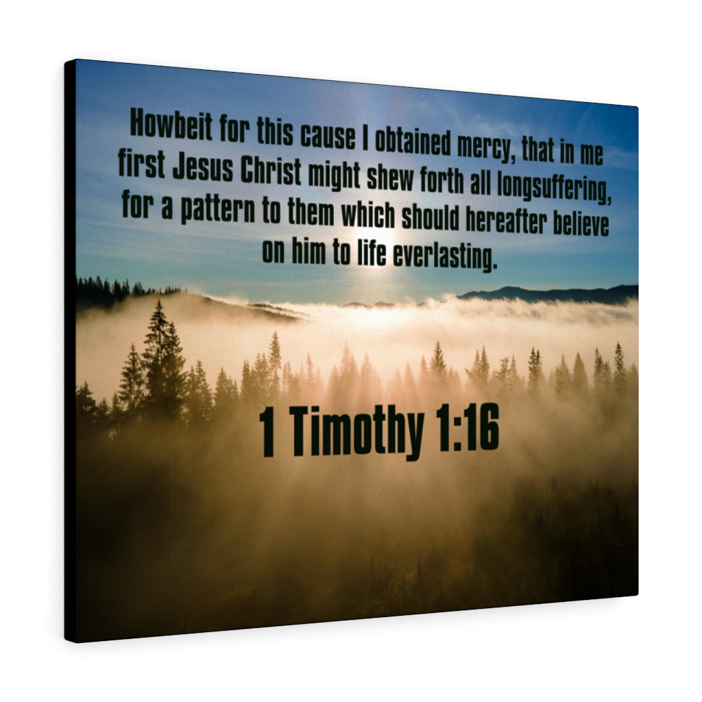Scripture Walls Everalsting Life 1 Timothy 1:16 Christian Home Decor Bible Art Unframed-Express Your Love Gifts