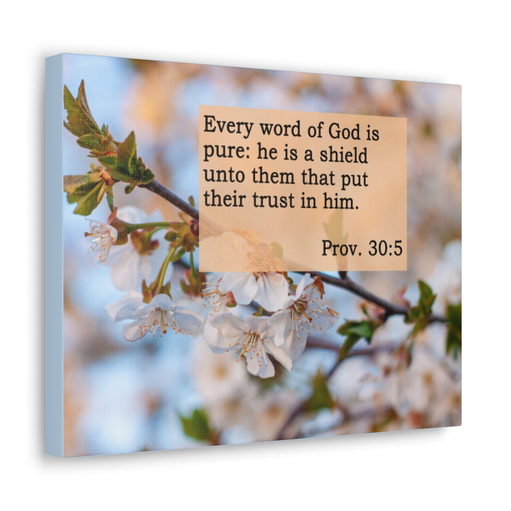 Scripture Walls Every Word Of God Proverbs 30:5 Bible Verse Canvas Christian Wall Art Ready to Hang Unframed-Express Your Love Gifts