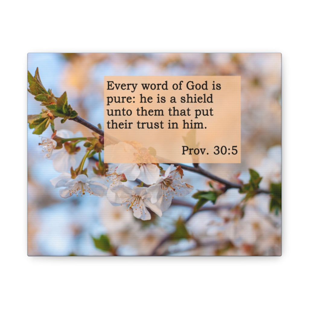Scripture Walls Every Word Of God Proverbs 30:5 Bible Verse Canvas Christian Wall Art Ready to Hang Unframed-Express Your Love Gifts