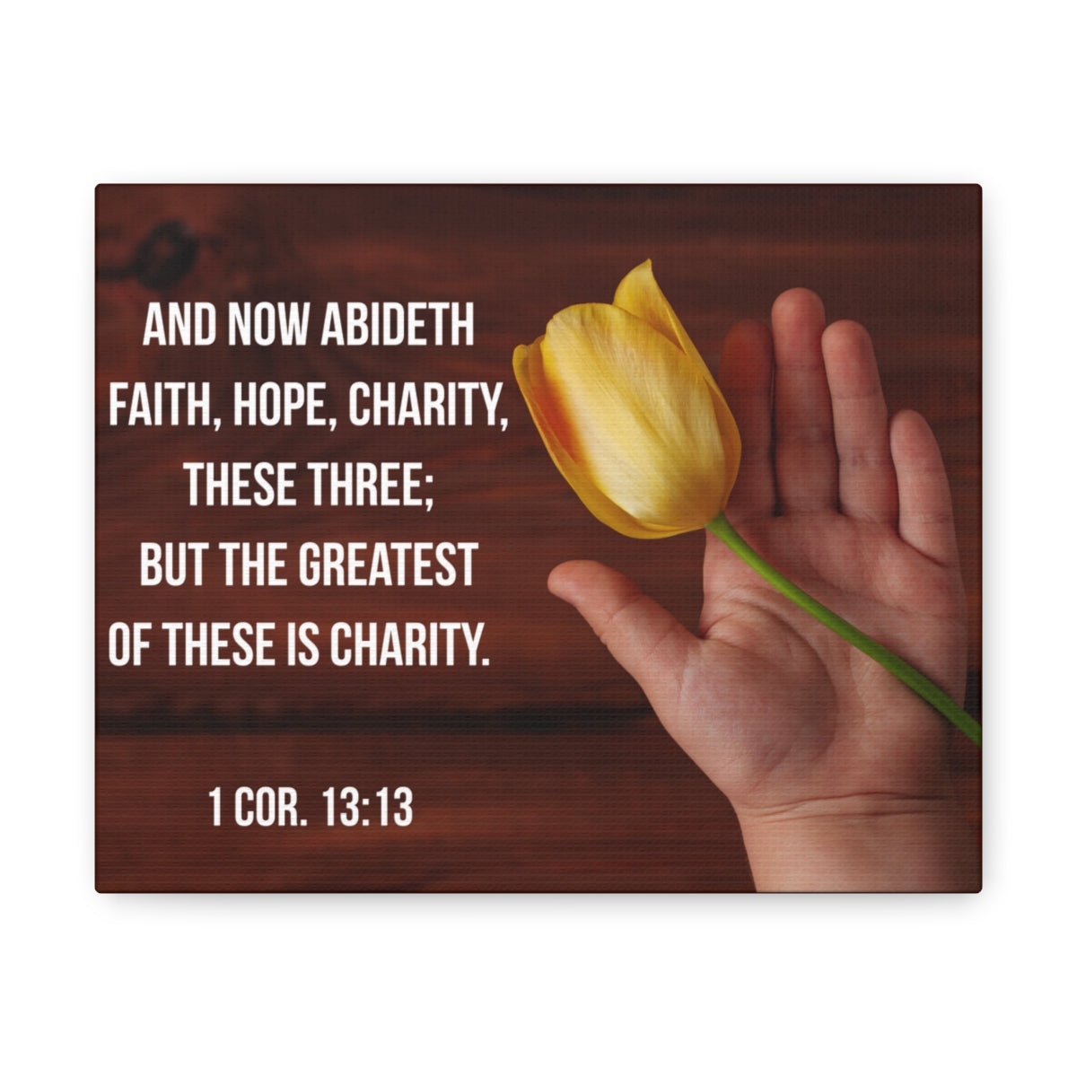 Scripture Walls Faith Hope Charity 1 Corinthians 13:13 Flower Bible Verse Canvas Christian Wall Art Bible Verse Print Ready To Hang Unframed-Express Your Love Gifts