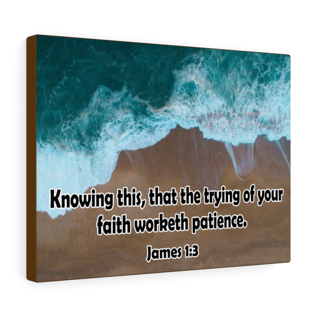Scripture Walls Faith Worketh Patience James 1:3 Bible Verse Canvas Christian Wall Art Ready to Hang Unframed-Express Your Love Gifts