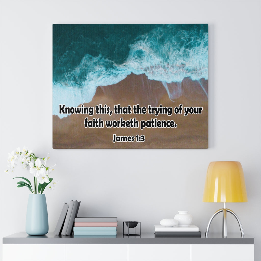 Scripture Walls Faith Worketh Patience James 1:3 Bible Verse Canvas Christian Wall Art Ready to Hang Unframed-Express Your Love Gifts