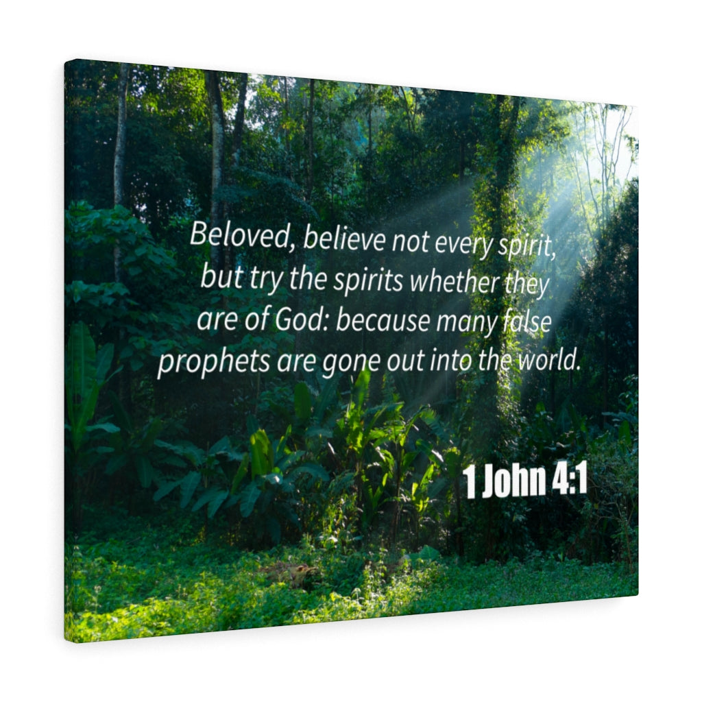 Scripture Walls False Prophets 1 John 4:1 Bible Verse Canvas Christian Wall Art Ready to Hang Unframed-Express Your Love Gifts