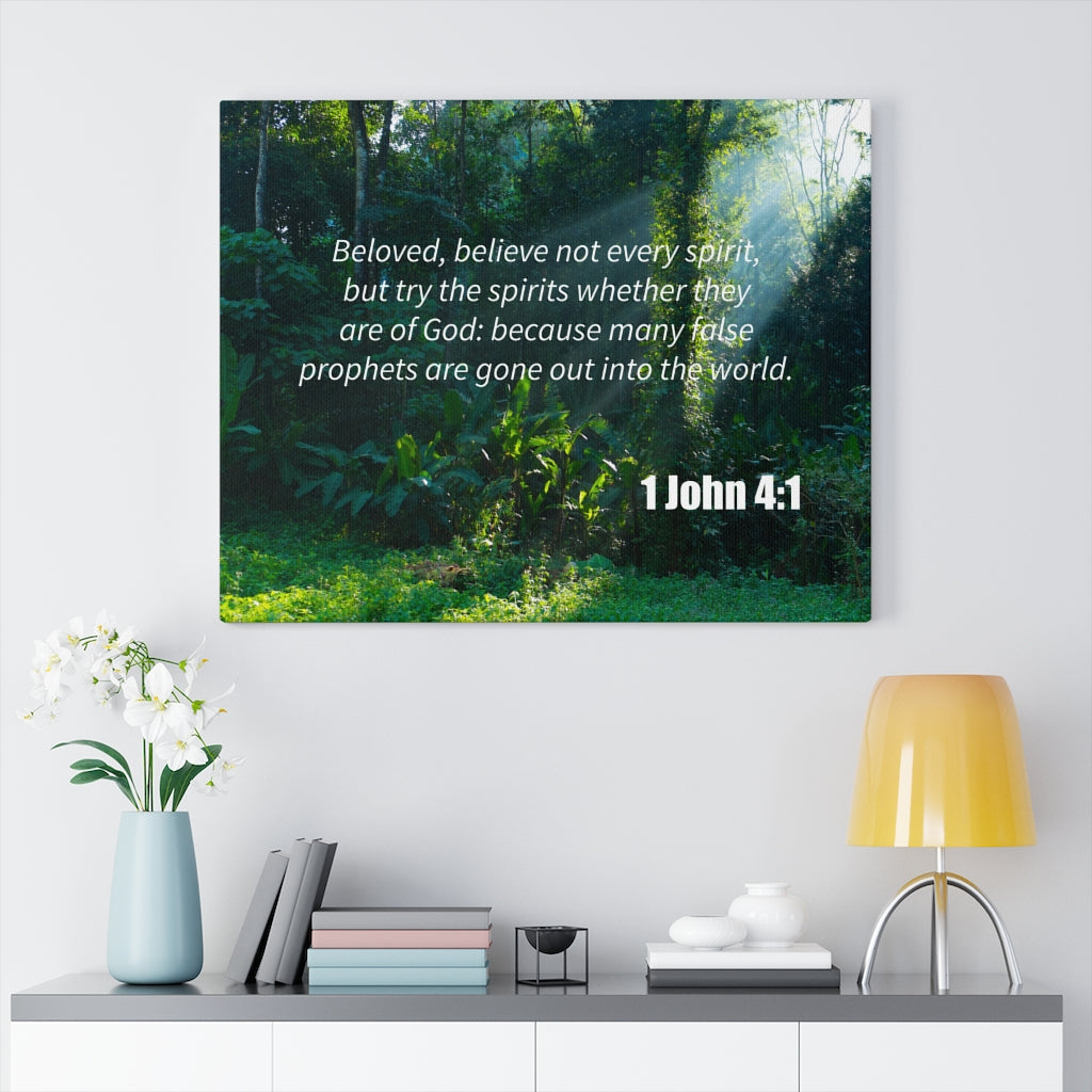 Scripture Walls False Prophets 1 John 4:1 Bible Verse Canvas Christian Wall Art Ready to Hang Unframed-Express Your Love Gifts