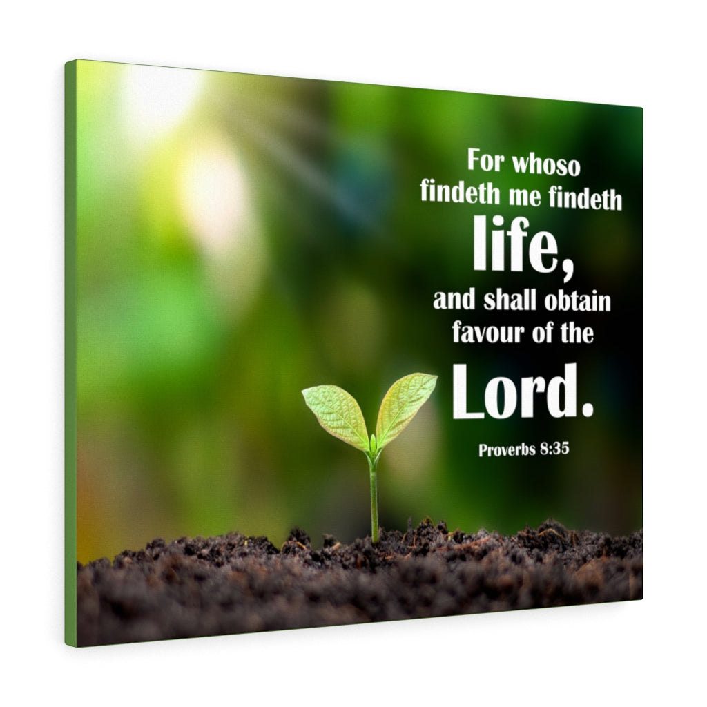 Scripture Walls Favour of The Lord Proverbs 8:35 Bible Verse Canvas Christian Wall Art Ready to Hang Unframed-Express Your Love Gifts