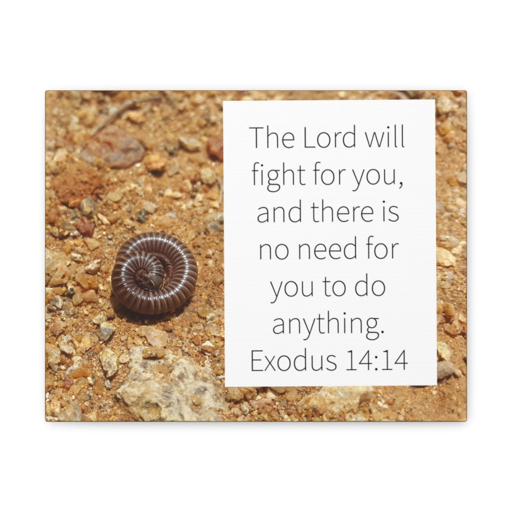 Scripture Walls Fight For You Exodus 14:14 Bible Verse Canvas Christian Wall Art Ready to Hang Unframed-Express Your Love Gifts