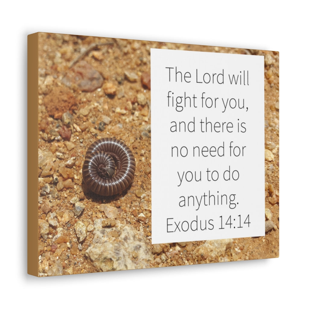 Scripture Walls Fight For You Exodus 14:14 Bible Verse Canvas Christian Wall Art Ready to Hang Unframed-Express Your Love Gifts