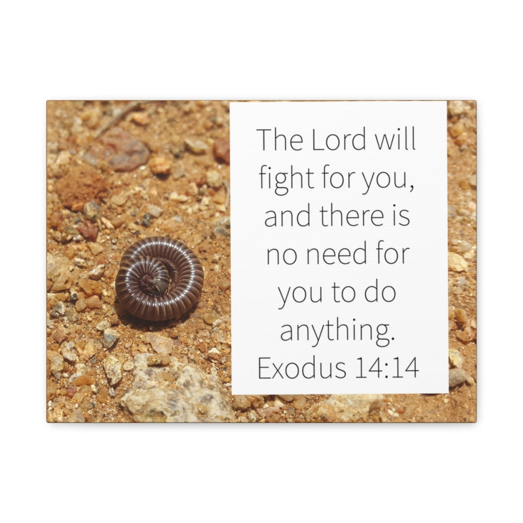 Scripture Walls Fight For You Exodus 14:14 Bible Verse Canvas Christian Wall Art Ready to Hang Unframed-Express Your Love Gifts