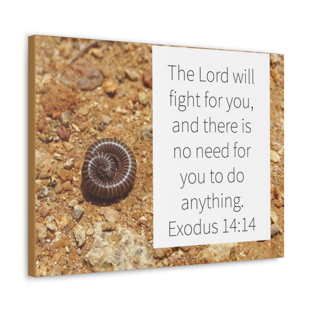 Scripture Walls Fight For You Exodus 14:14 Bible Verse Canvas Christian Wall Art Ready to Hang Unframed-Express Your Love Gifts