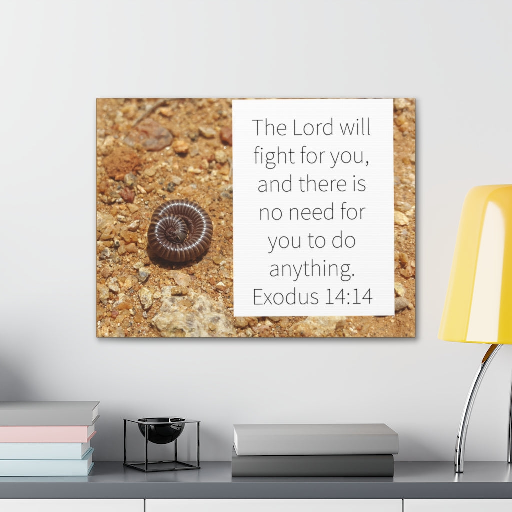 Scripture Walls Fight For You Exodus 14:14 Bible Verse Canvas Christian Wall Art Ready to Hang Unframed-Express Your Love Gifts