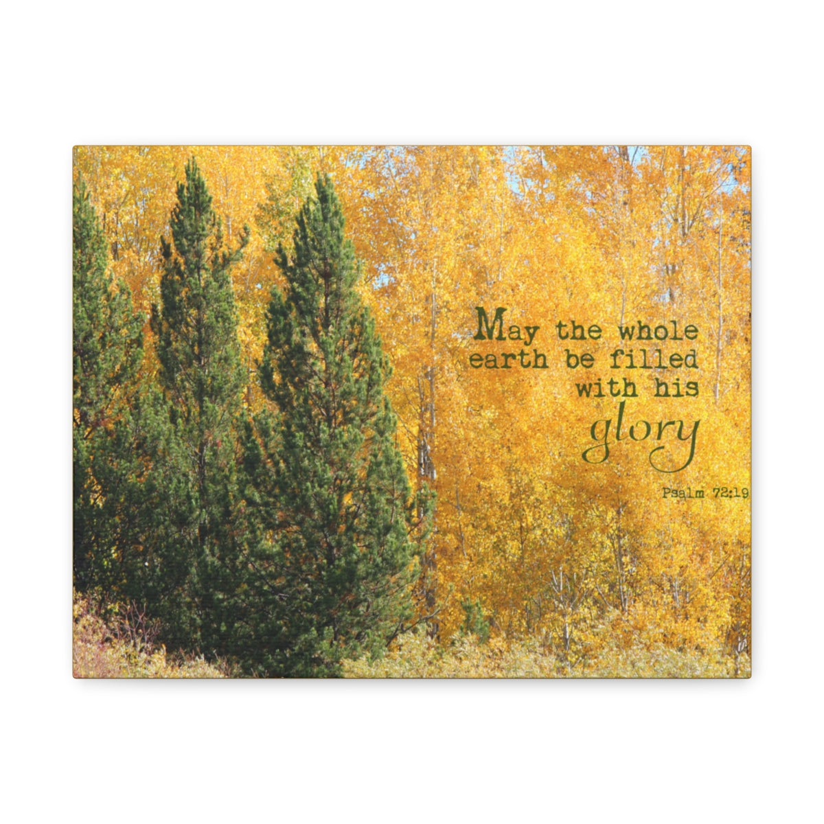 Scripture Walls Filled With His Glory Psalm 72:19 Bible Verse Canvas Christian Wall Art Bible Verse Print Ready To Hang Unframed-Express Your Love Gifts
