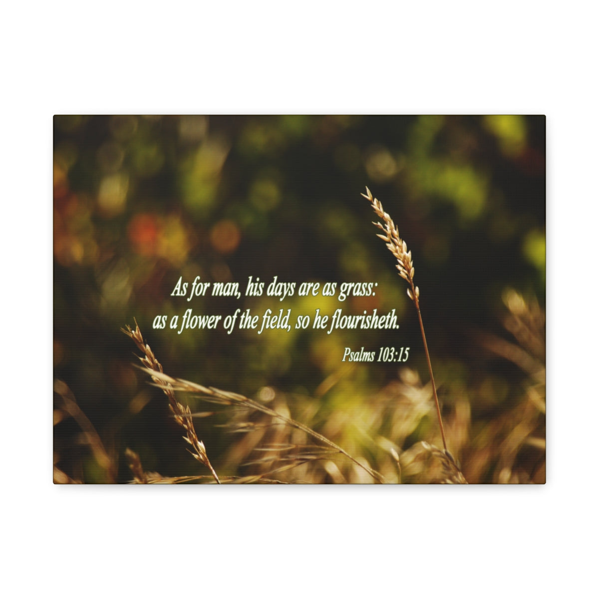 Scripture Walls Flower Of The Field Psalms 103:15 Bible Verse Canvas Christian Wall Art Bible Verse Print Ready To Hang Unframed-Express Your Love Gifts