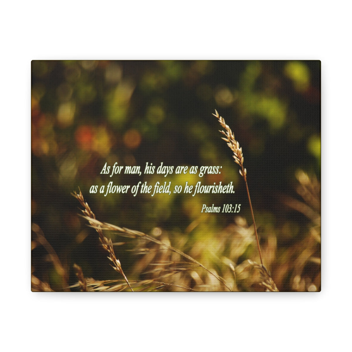 Scripture Walls Flower Of The Field Psalms 103:15 Bible Verse Canvas Christian Wall Art Bible Verse Print Ready To Hang Unframed-Express Your Love Gifts