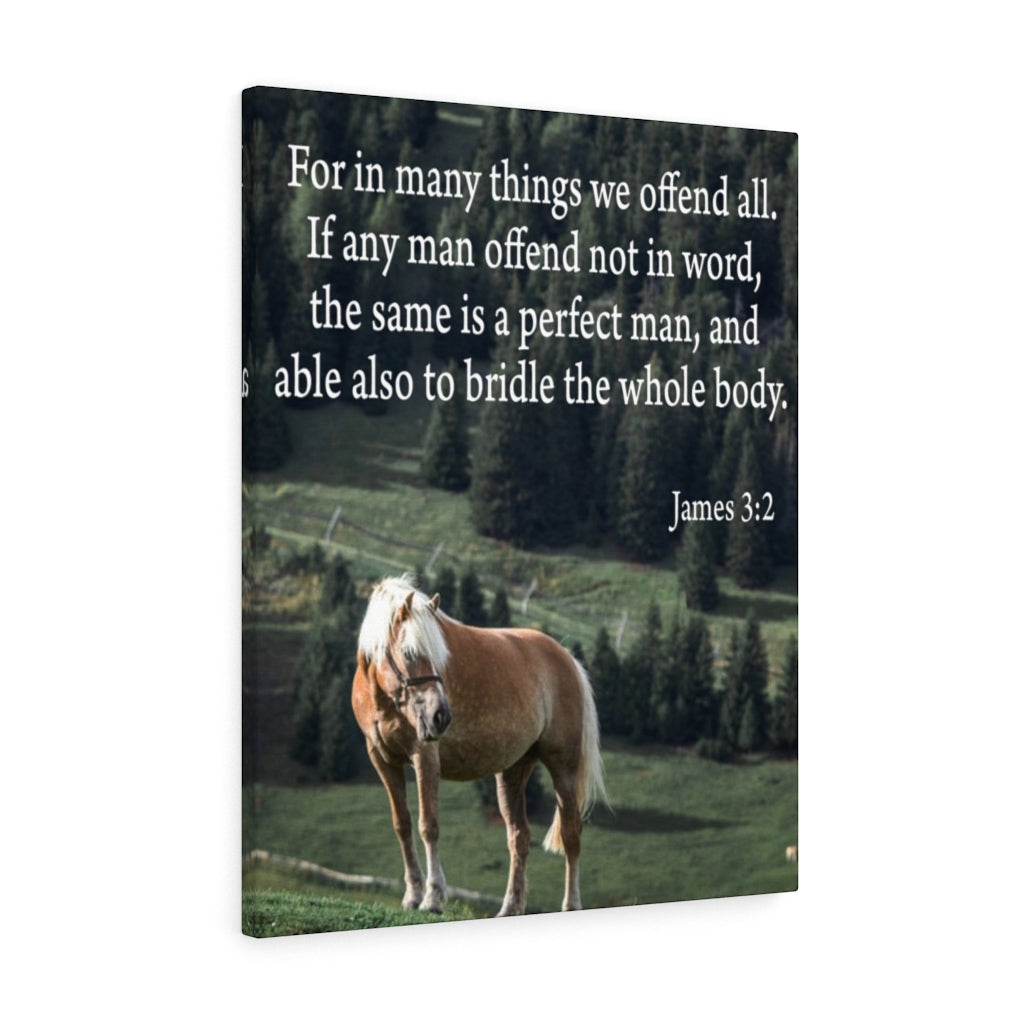 Scripture Walls For in Many Things We Offend All James 3:2 Scripture Bible Verse Canvas Christian Wall Art Ready to Hang Unframed-Express Your Love Gifts