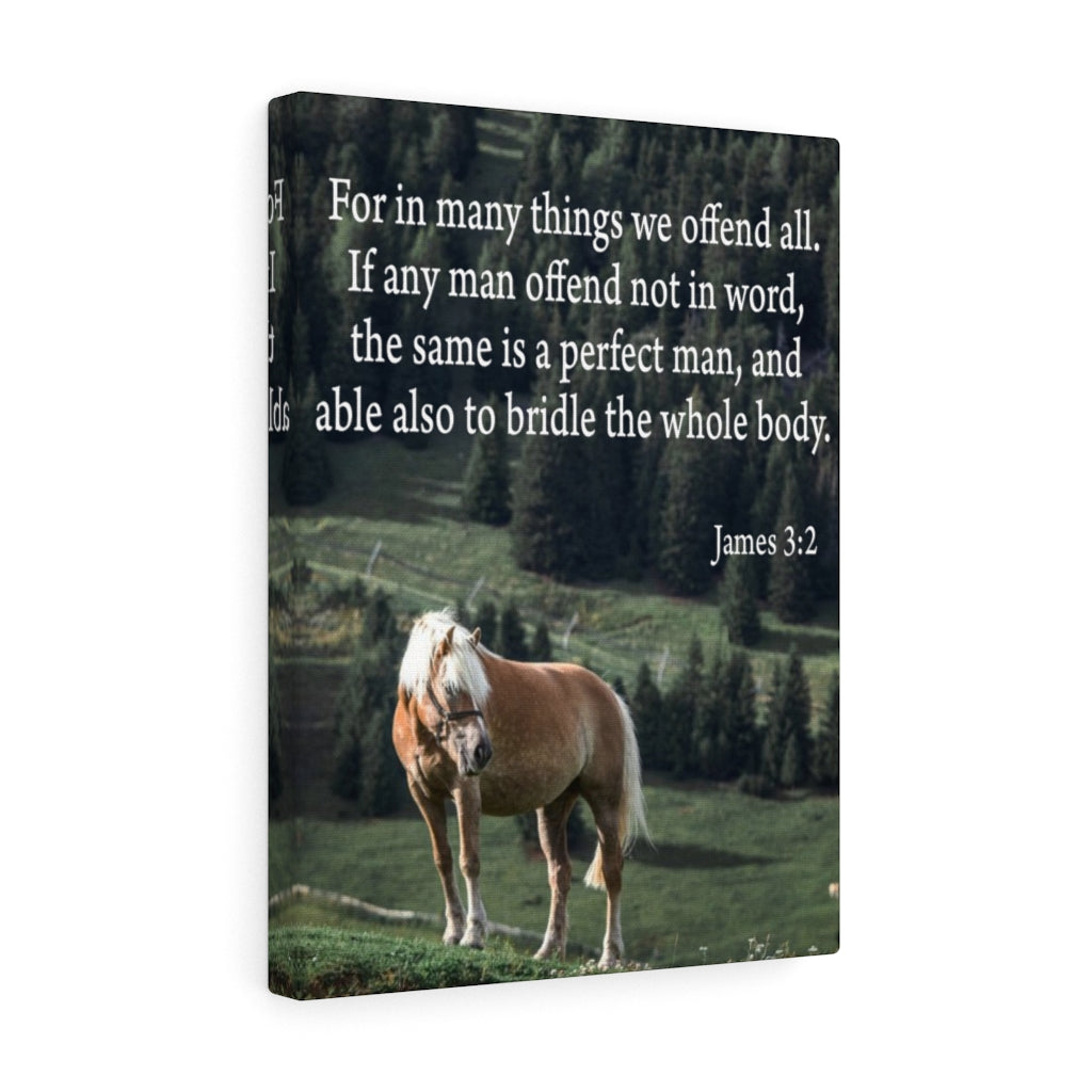 Scripture Walls For in Many Things We Offend All James 3:2 Scripture Bible Verse Canvas Christian Wall Art Ready to Hang Unframed-Express Your Love Gifts