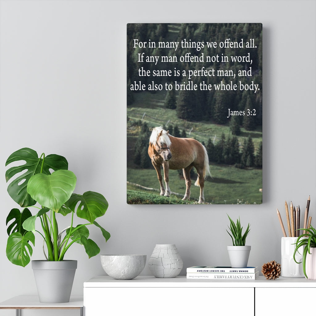 Scripture Walls For in Many Things We Offend All James 3:2 Scripture Bible Verse Canvas Christian Wall Art Ready to Hang Unframed-Express Your Love Gifts