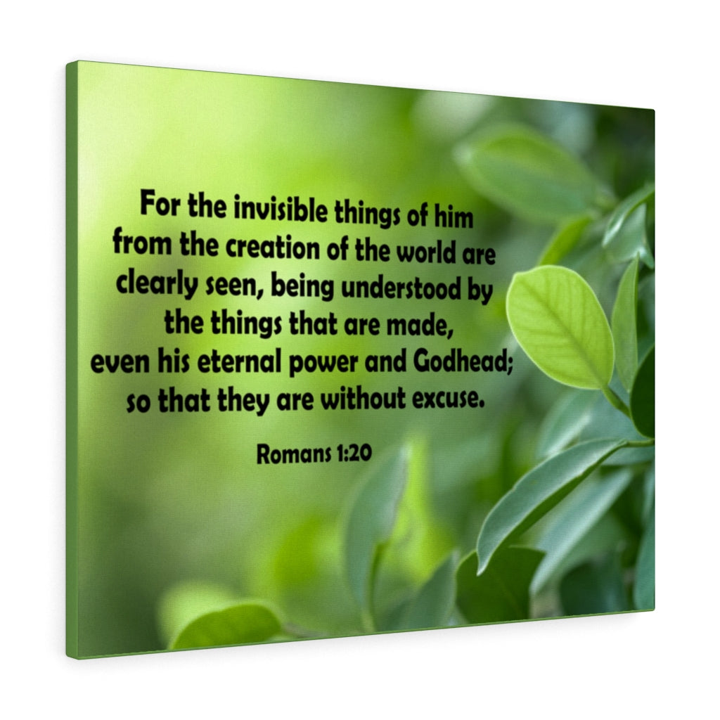 Scripture Walls For The Invisible Things Romans 1:20 Green Bible Verse Canvas Christian Wall Art Ready to Hang Unframed-Express Your Love Gifts
