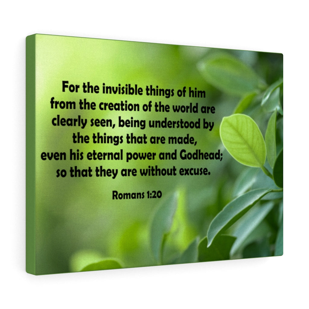 Scripture Walls For The Invisible Things Romans 1:20 Green Bible Verse Canvas Christian Wall Art Ready to Hang Unframed-Express Your Love Gifts