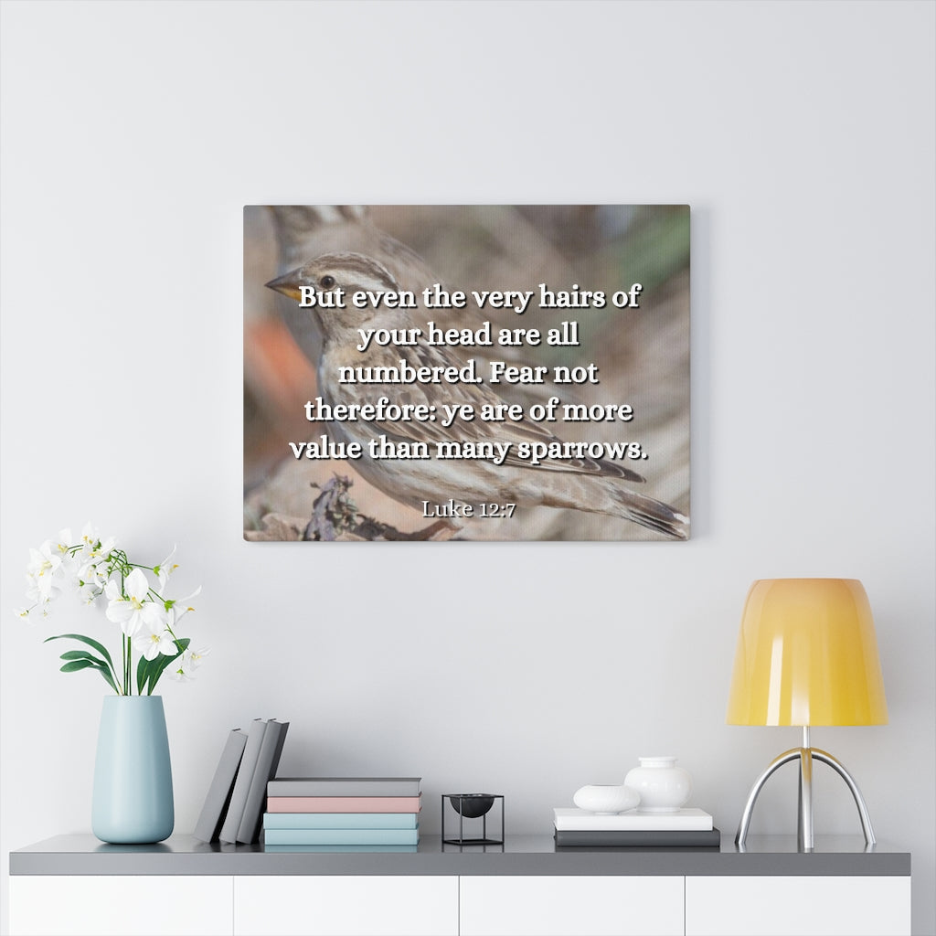 Scripture Walls Forgotten Luke 12:7 Bible Verse Canvas Christian Wall Art Ready to Hang Unframed-Express Your Love Gifts